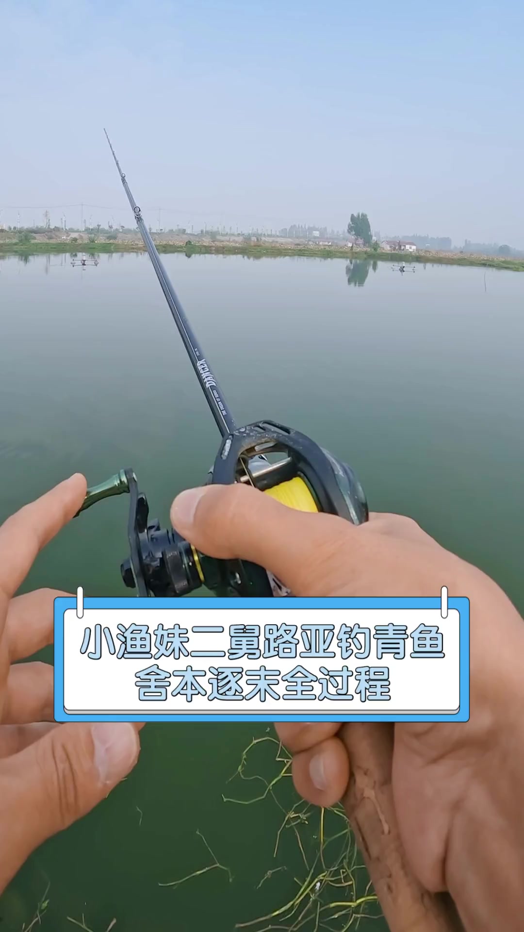 路亚淡水青鱼(路亚竿钓青鱼)