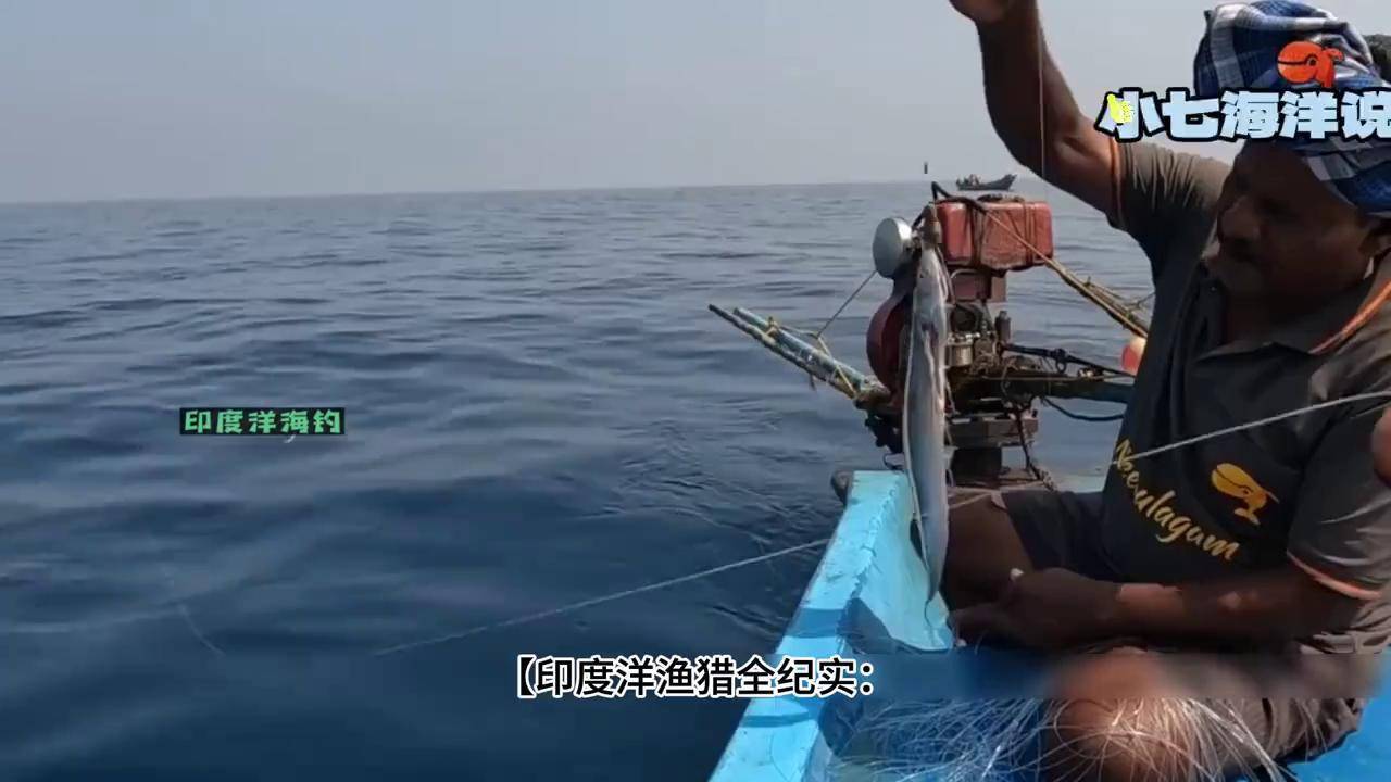 海钓可以倒钓吗(海钓倒钓教学)