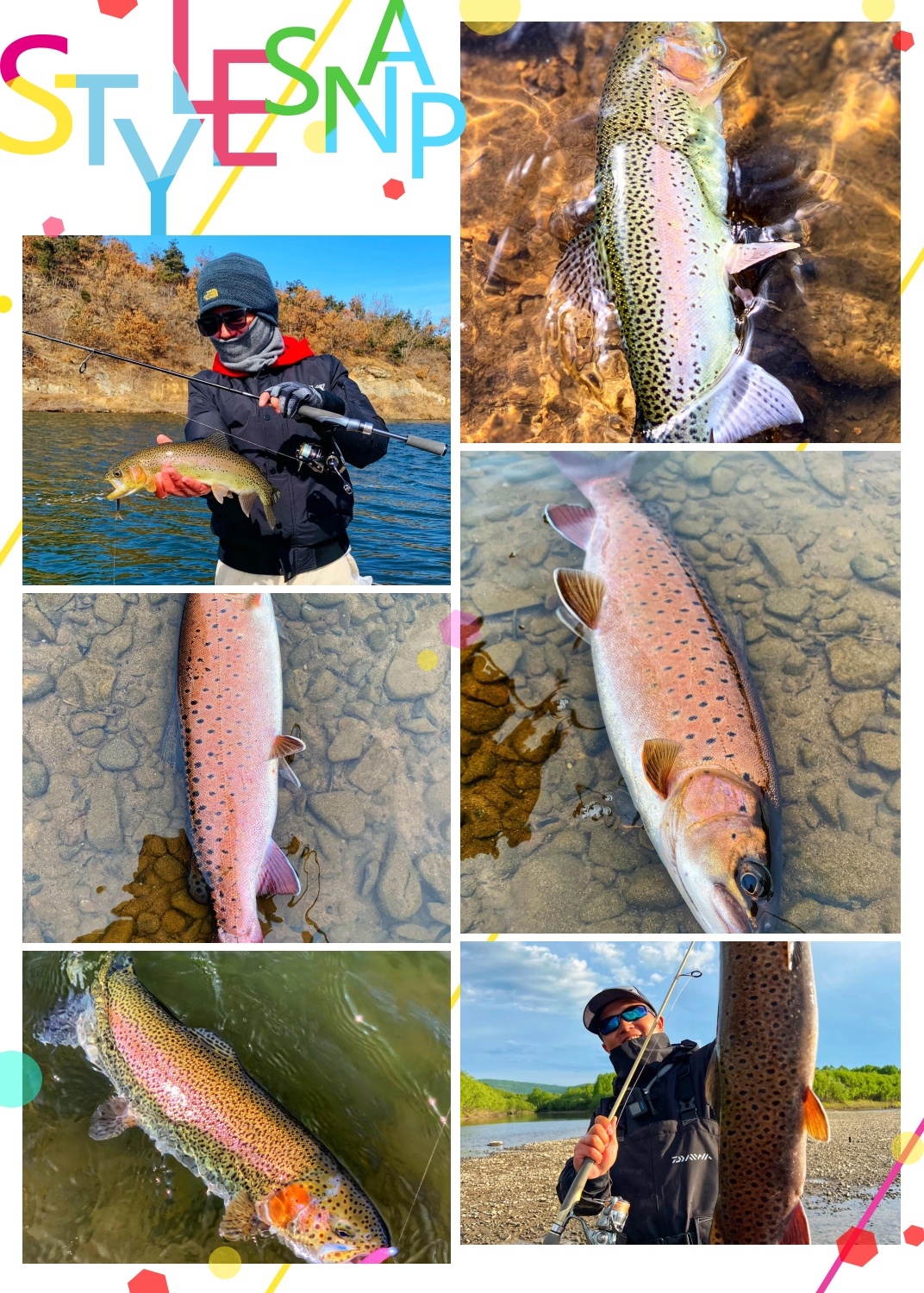 鳟鱼吃啥饵料(鳟鱼吃什么饵)