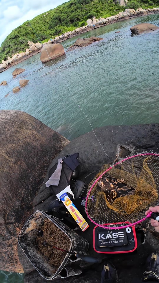 漳州海钓俱乐部(漳州港钓海鱼)