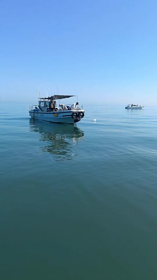 漳州海钓俱乐部(漳州港钓海鱼)