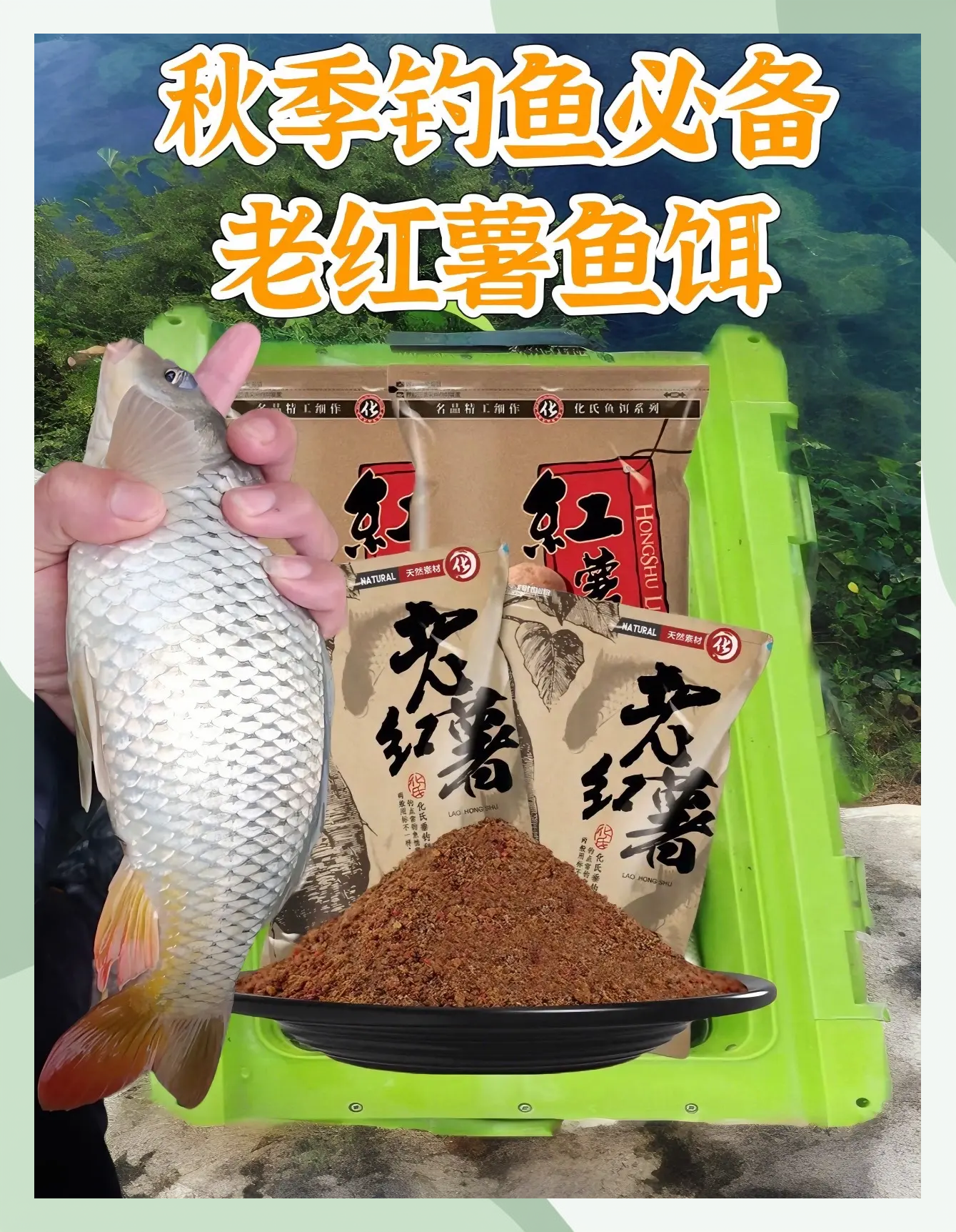 秋天饵料配方大全转(秋天饵料搭配技巧)