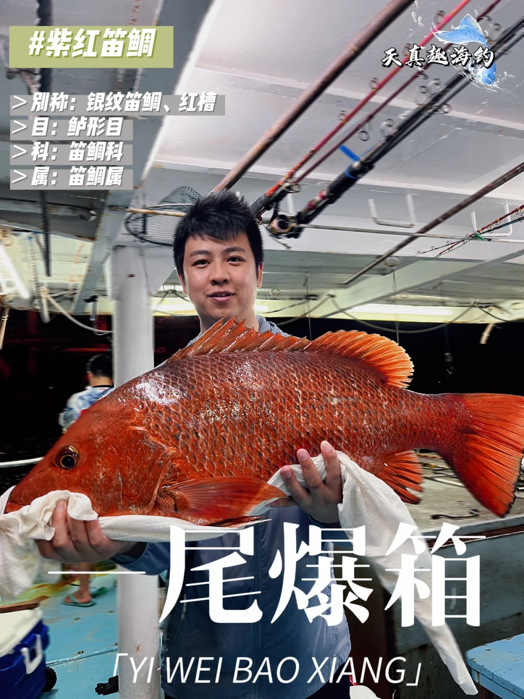 南油海钓攻略不跑鱼(海钓黑鲷十句口诀)