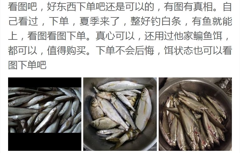 饵料如何避免餐条(如何避免饵料沉入淤泥)