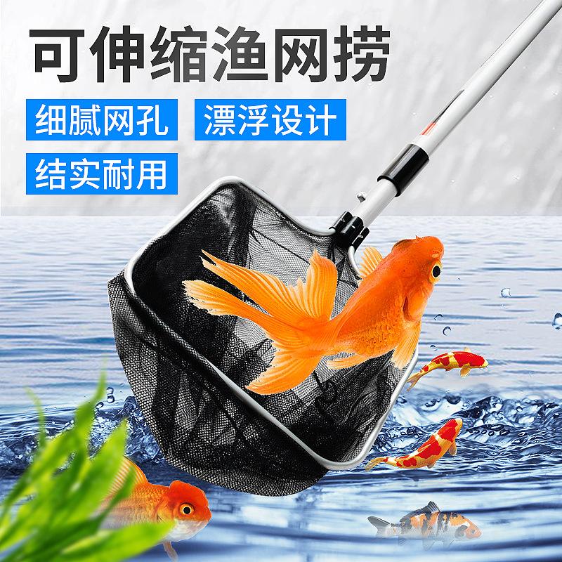 深圳龙华渔具(深圳龙华渔具生产厂家有哪些)