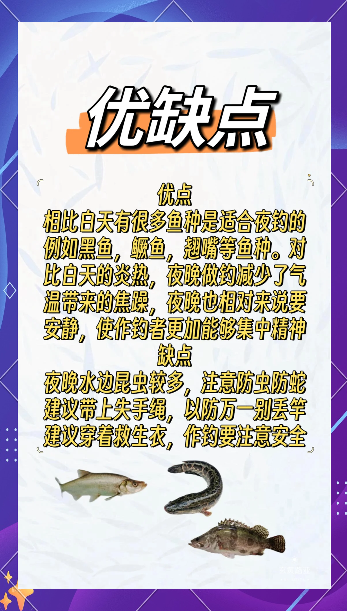 晚上能不能钓路亚(晚上可不可以钓路亚)