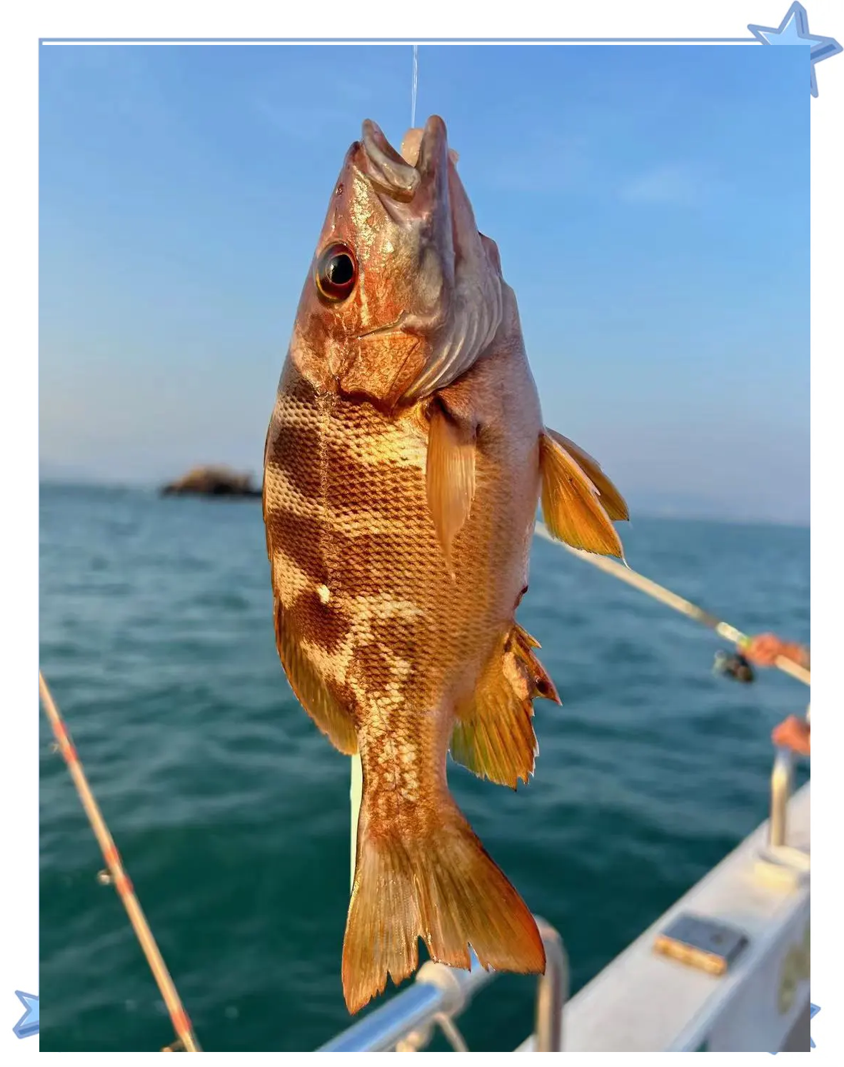 北方海钓钓点(北方海钓鱼种)