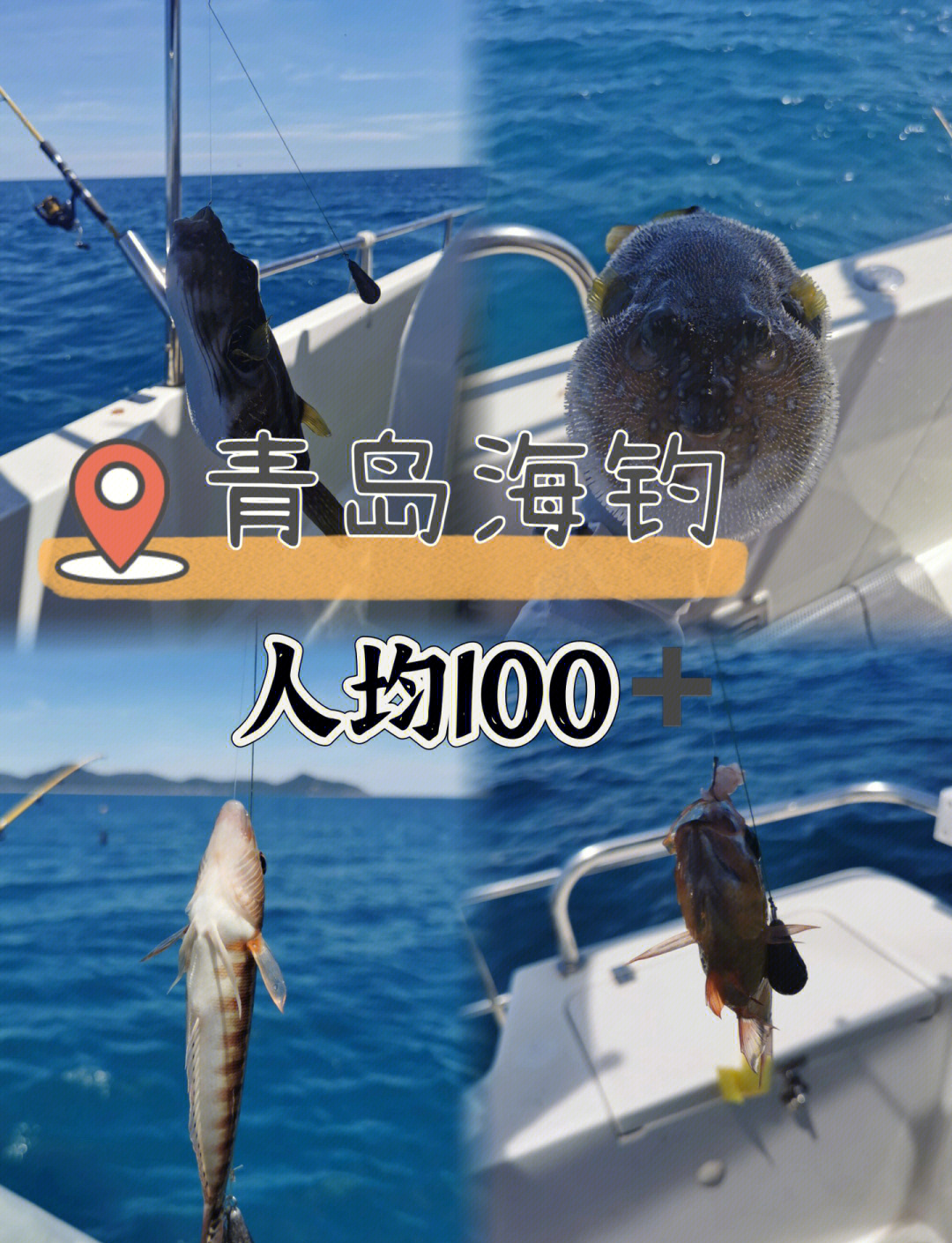 青岛路亚海钓(青岛路亚海钓三本勾合法吗?)
