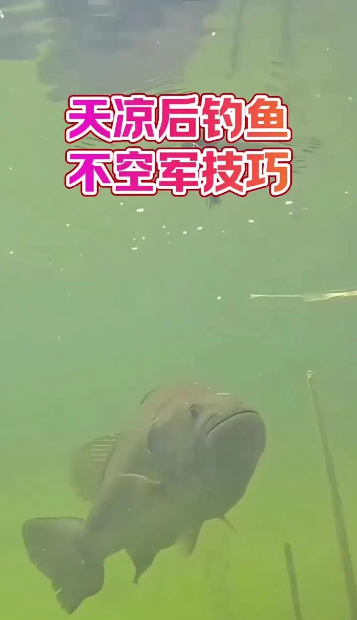 冬天10度钓鱼技巧(冬天10度钓鱼钓多深)