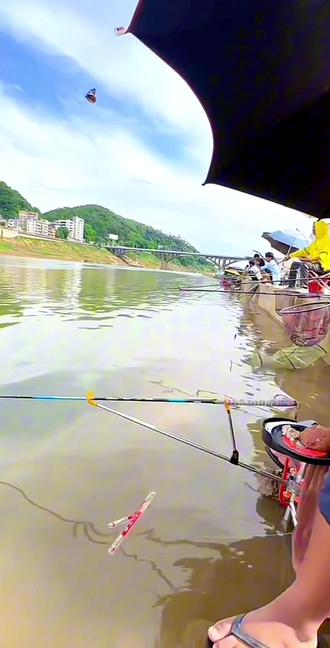 珠海钓乌头(钓乌头最佳水深)