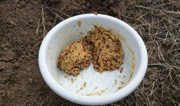 钓鱼肉夹馍饵料(肉夹馍鱼饵钓鲫鱼的做法)