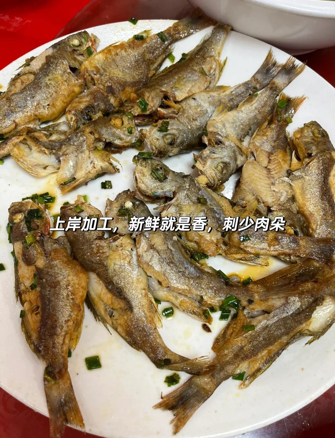 杨梅坑免费海钓地点(杨梅坑海边哪里最漂亮)