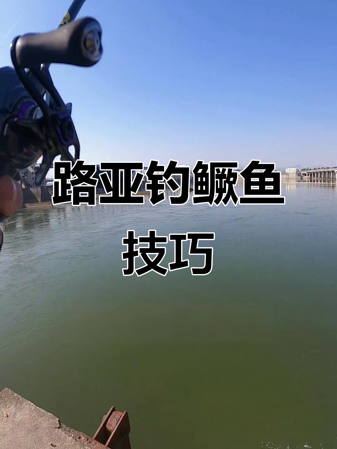 急流钓路亚(急流钓路亚怎么钓)