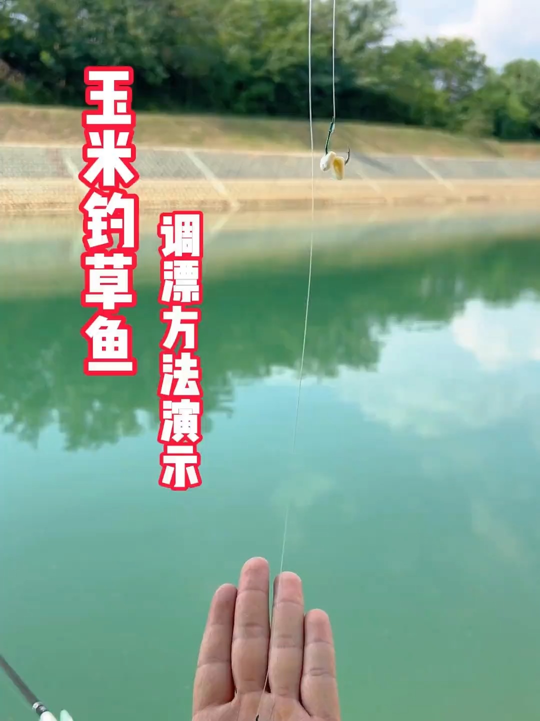 夏季小雨天钓草鱼技巧(大雨天怎么钓草鱼)