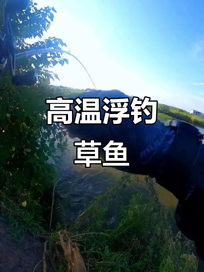 夏季小雨天钓草鱼技巧(大雨天怎么钓草鱼)
