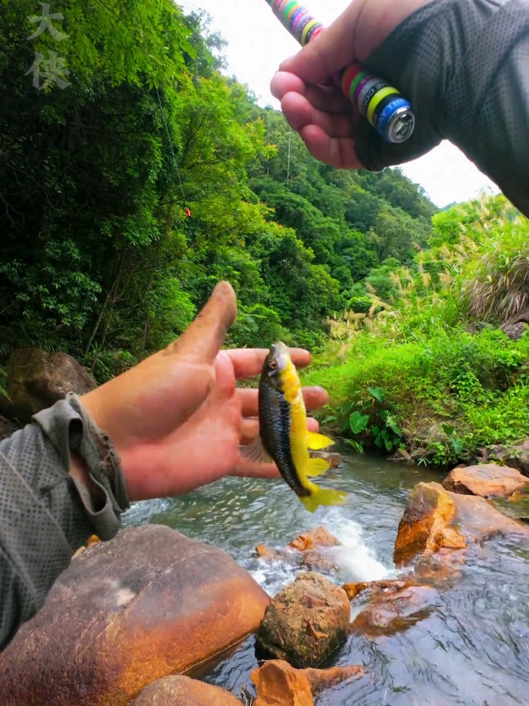 山间急流钓鱼技巧(山间水流)
