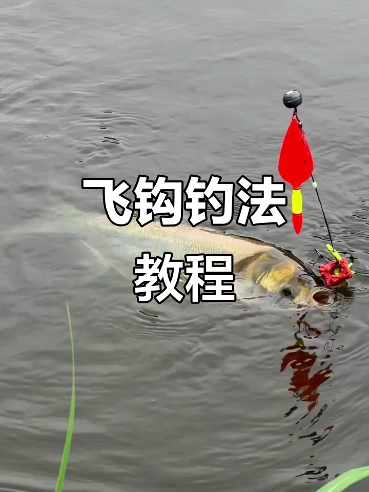 野钓手竿抛竿技巧(钓鱼手竿抛竿技巧)
