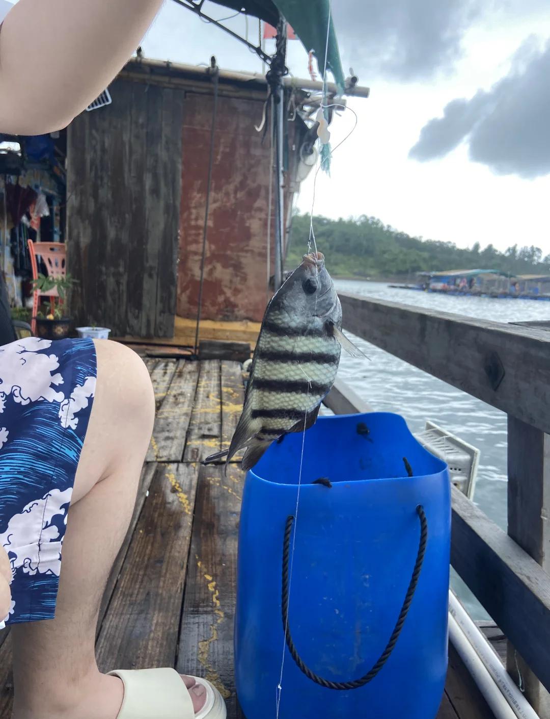 亚婆湾海钓(亚婆角海钓船家电话)