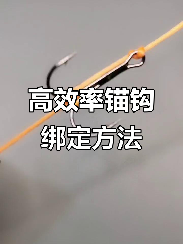 锚中层鱼技巧(锚鱼中鱼瞬间视频)