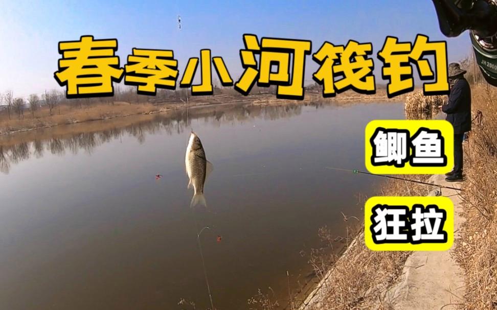 秋天串钩红虫钓鱼技巧(串钩挂红虫什么钩合适)