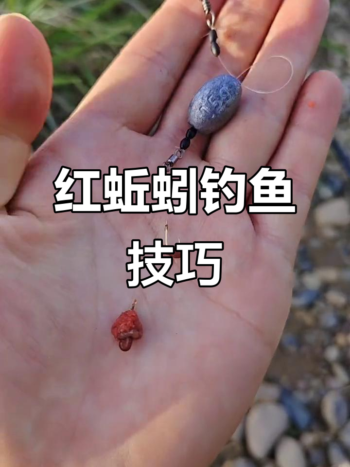 蚯蚓海竿钓鱼技巧视频(海杆蚯蚓挂法)