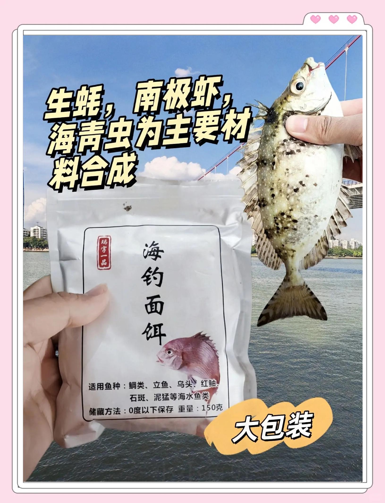 海钓虾做鱼饵(海钓虾饵制作方法)