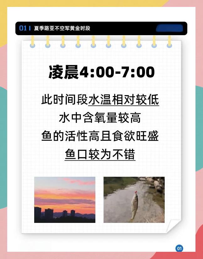 海钓路亚与季节(海钓路亚是什么意思)