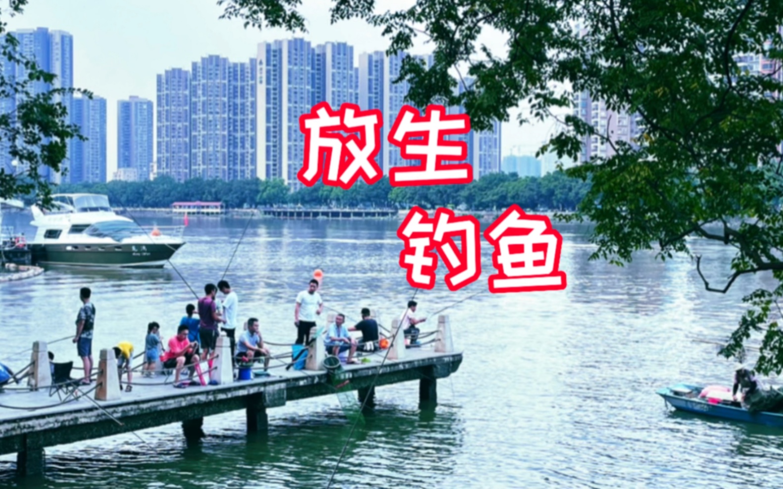 为什么海钓鱼放生(为什么海钓放生要在肚子上捅个洞)