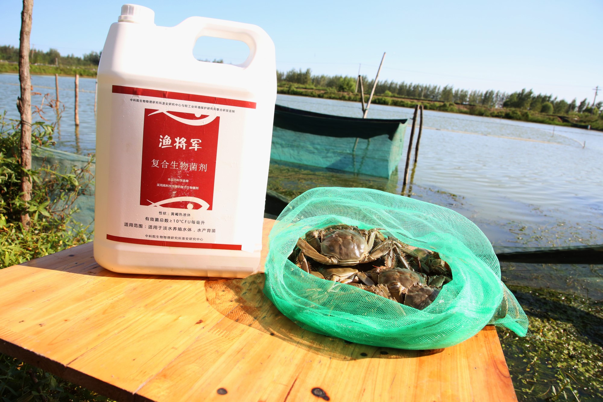 蹲螃蟹什么饵料好(钓螃蟹用啥饵料)