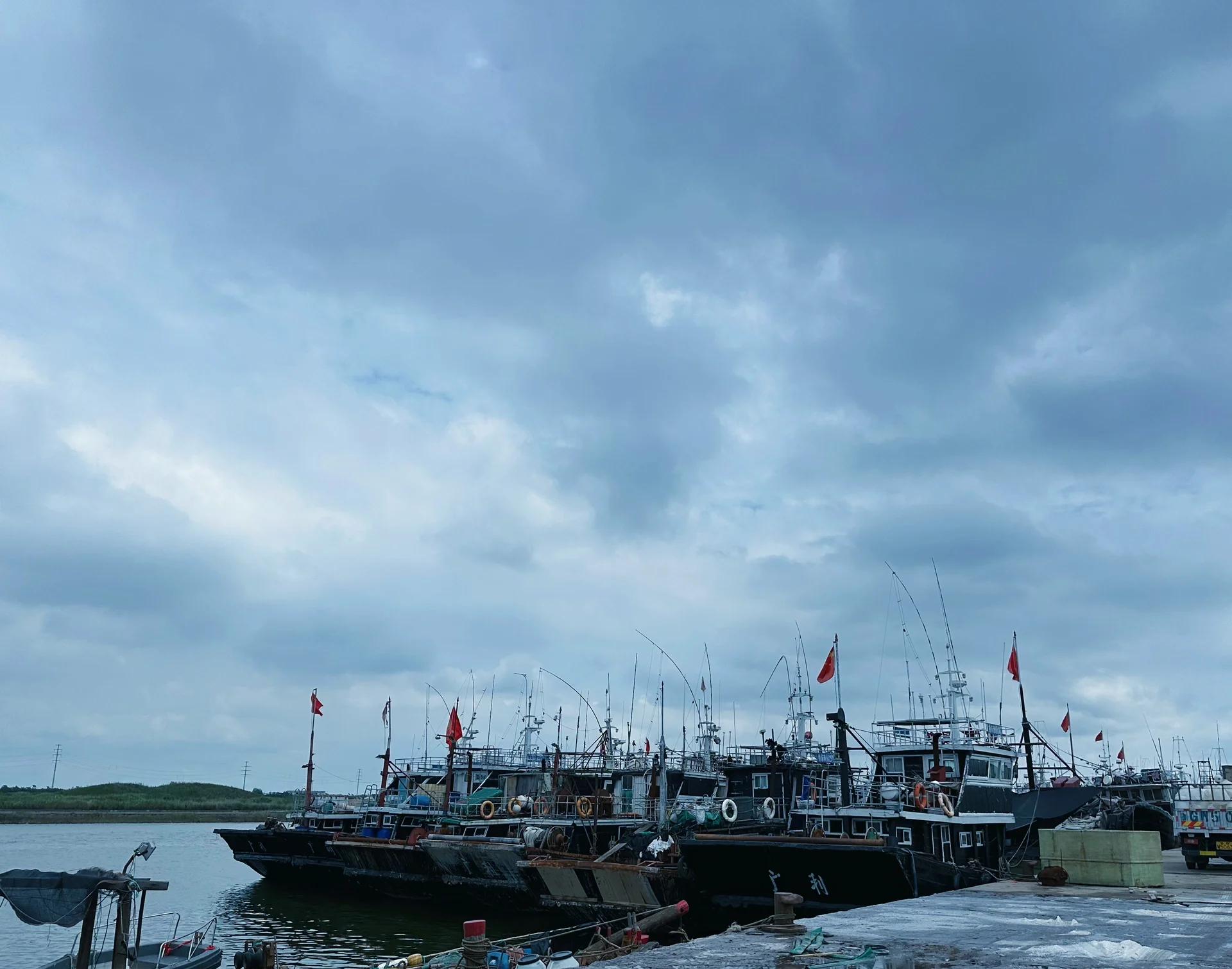 东营最好的海钓地方(东营近海岸钓哪里鱼多)