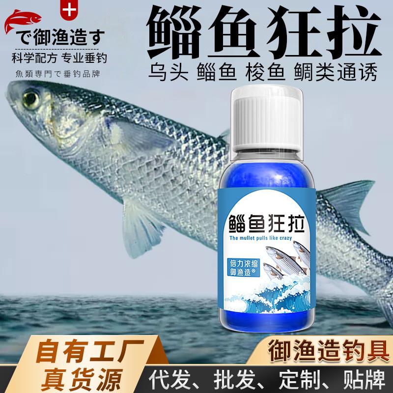 钓乌头鱼饵料(钓乌头鱼用什么商品饵料最好)
