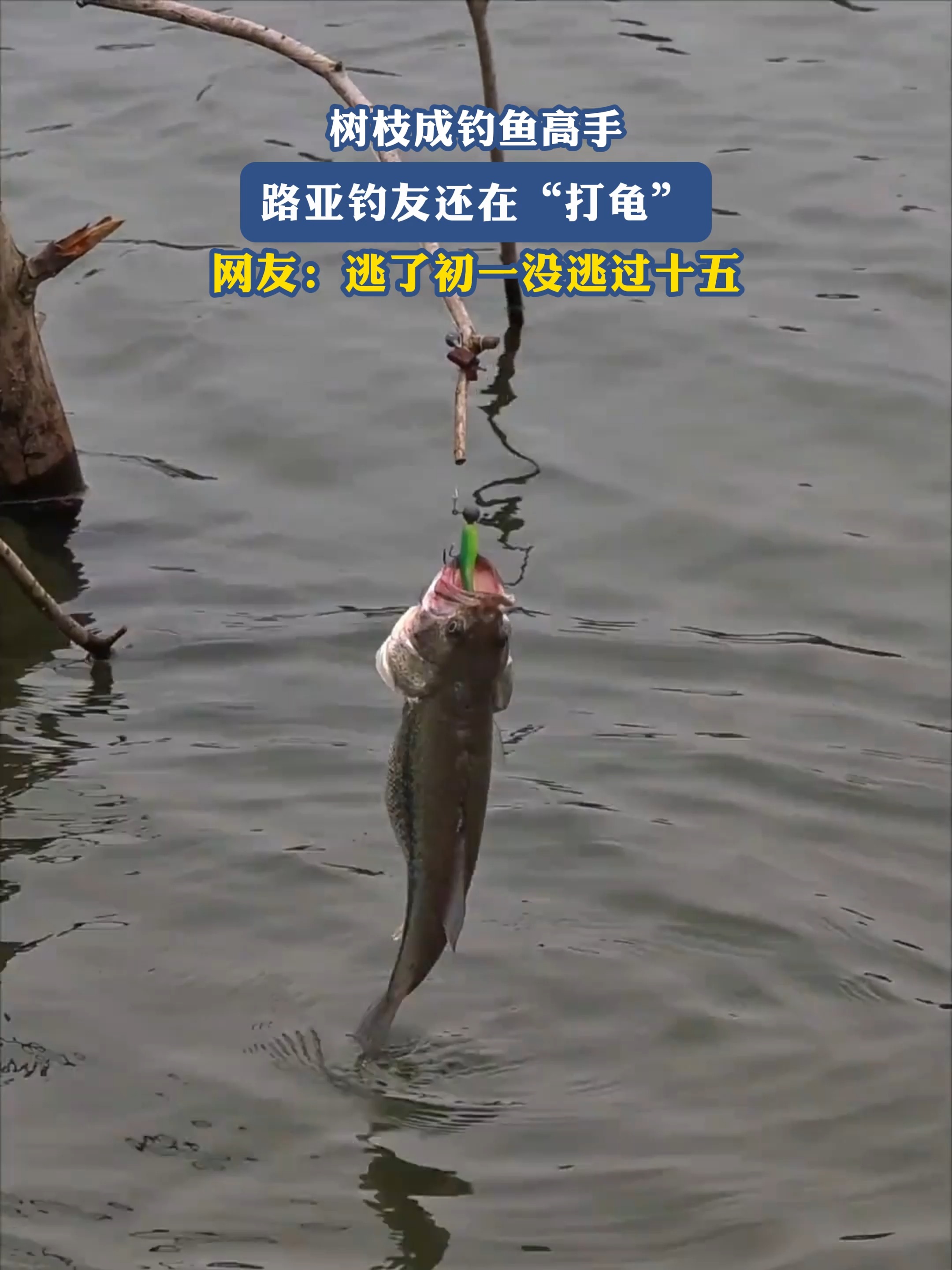 中国路亚高手苏杭(上海苏杭五日游攻略)
