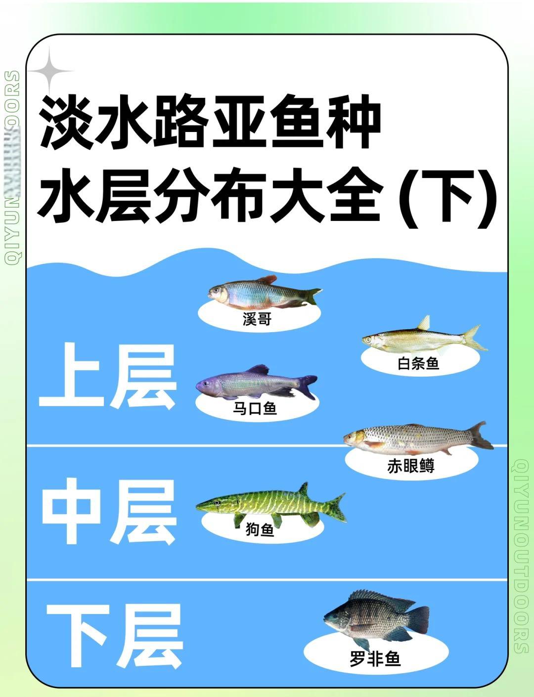 路亚钓法适合钓什么鱼(路亚一般钓什么)