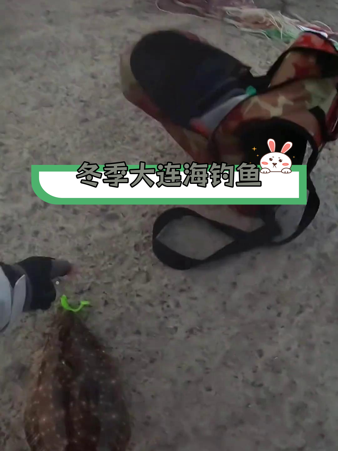 海钓滩投知识(海钓滩钓怎样找钓点)