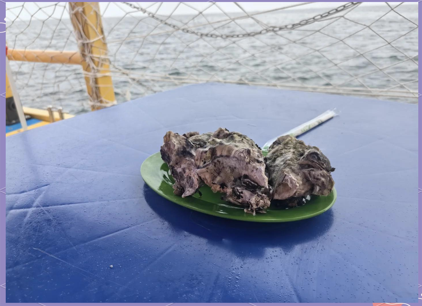 海钓滩投知识(海钓滩钓怎样找钓点)