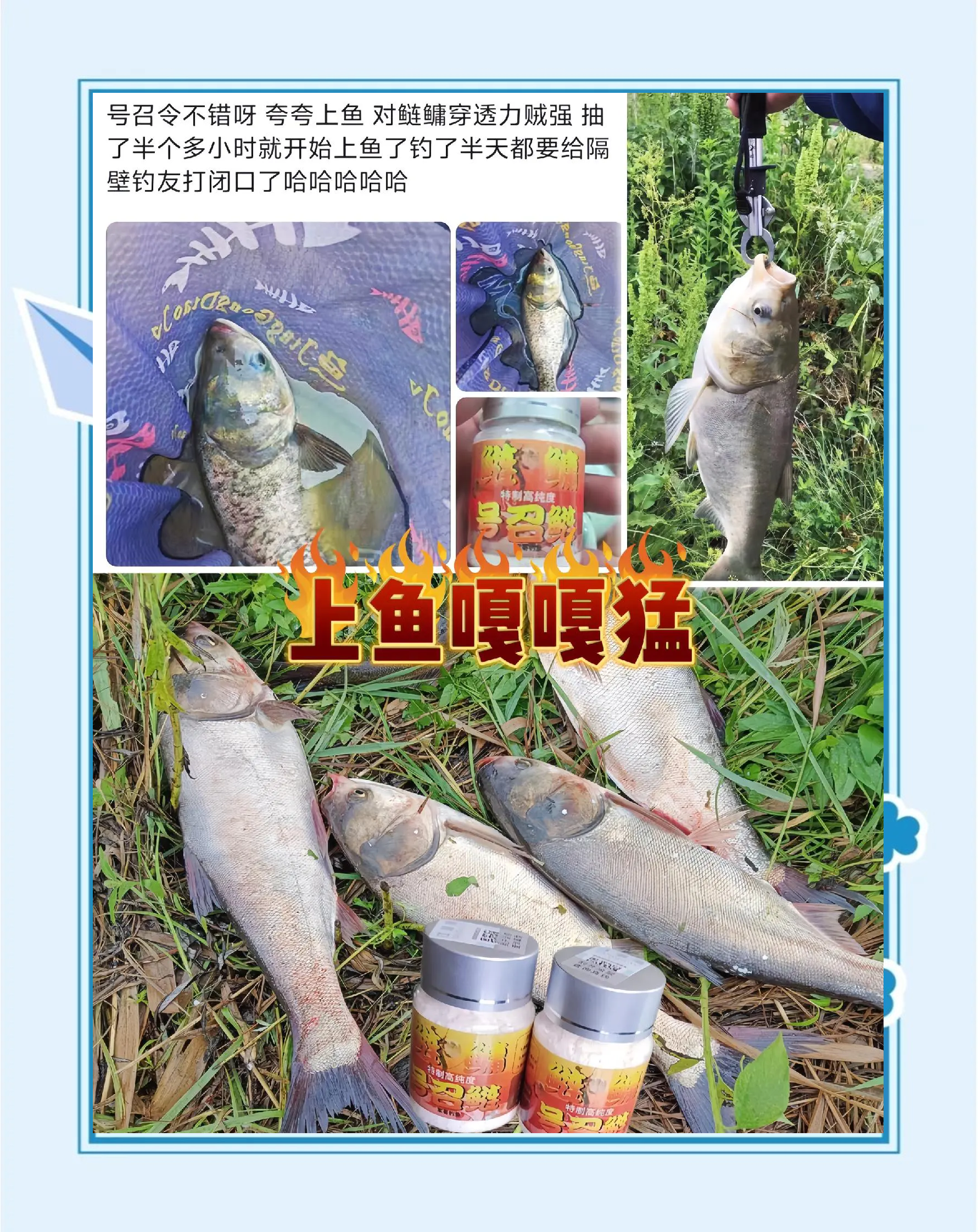 钓光鱼用什么饵料(钓光鱼用什么鱼竿)