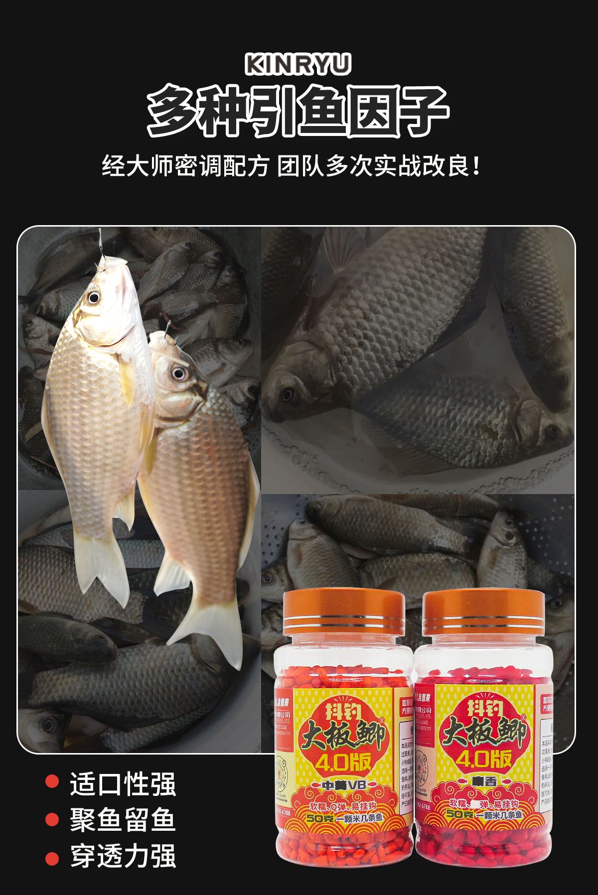专钓大鲫鱼饵料(钓大鲫鱼的饵料)