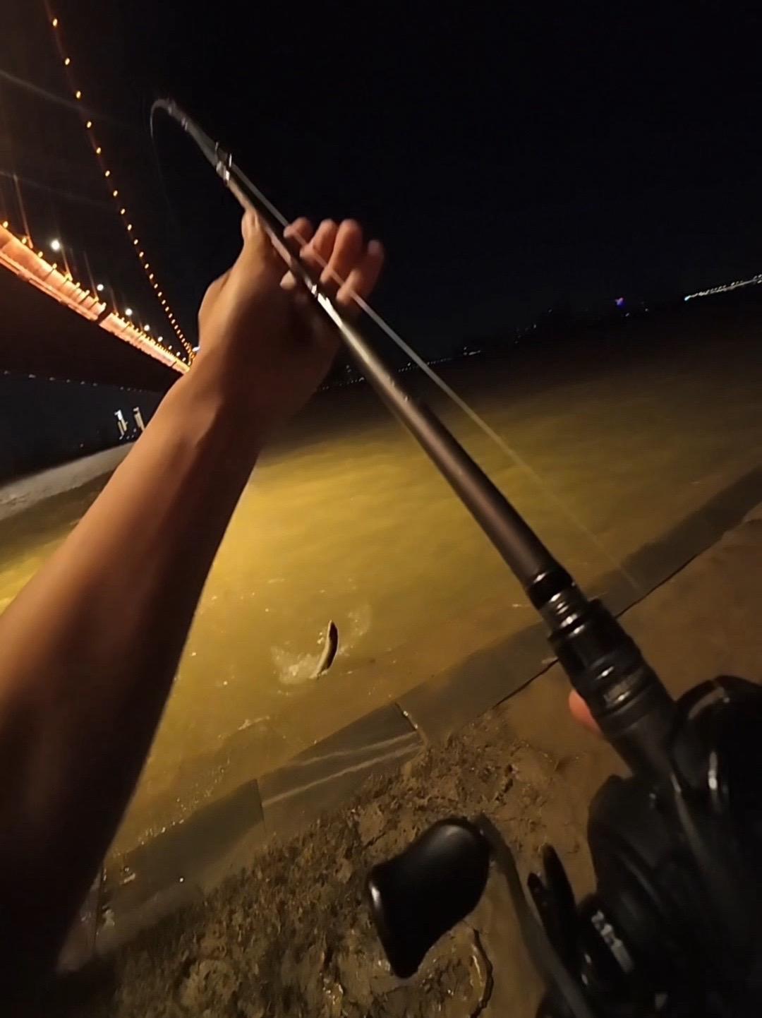 路亚海水夜钓(路亚夜钓海鱼技巧)