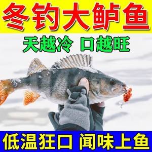 钓埃及鱼饵料(钓埃及鱼饵料怎么配)