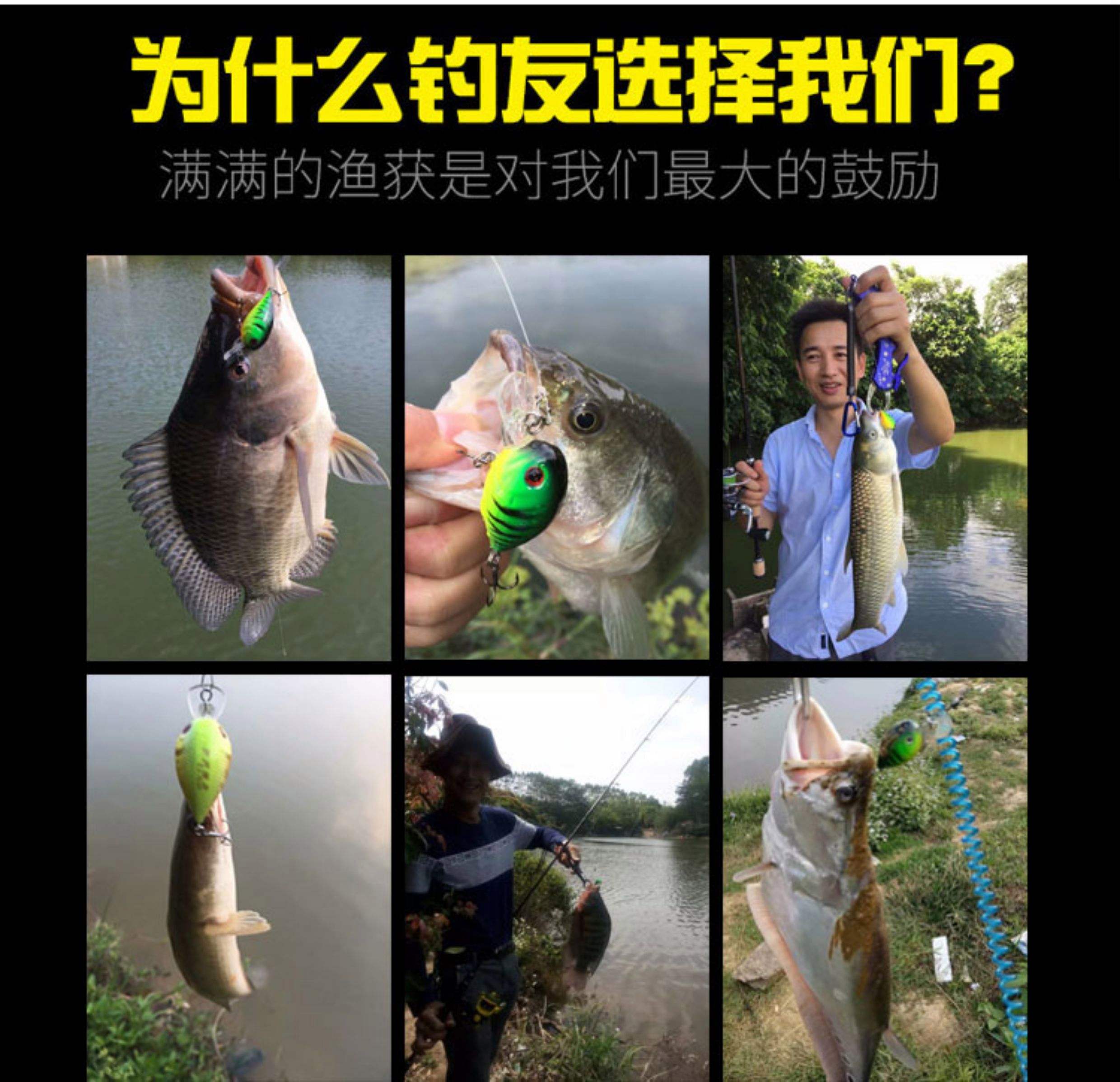 杆条鱼用什么饵料钓(杆条鱼用什么饵料钓最好)