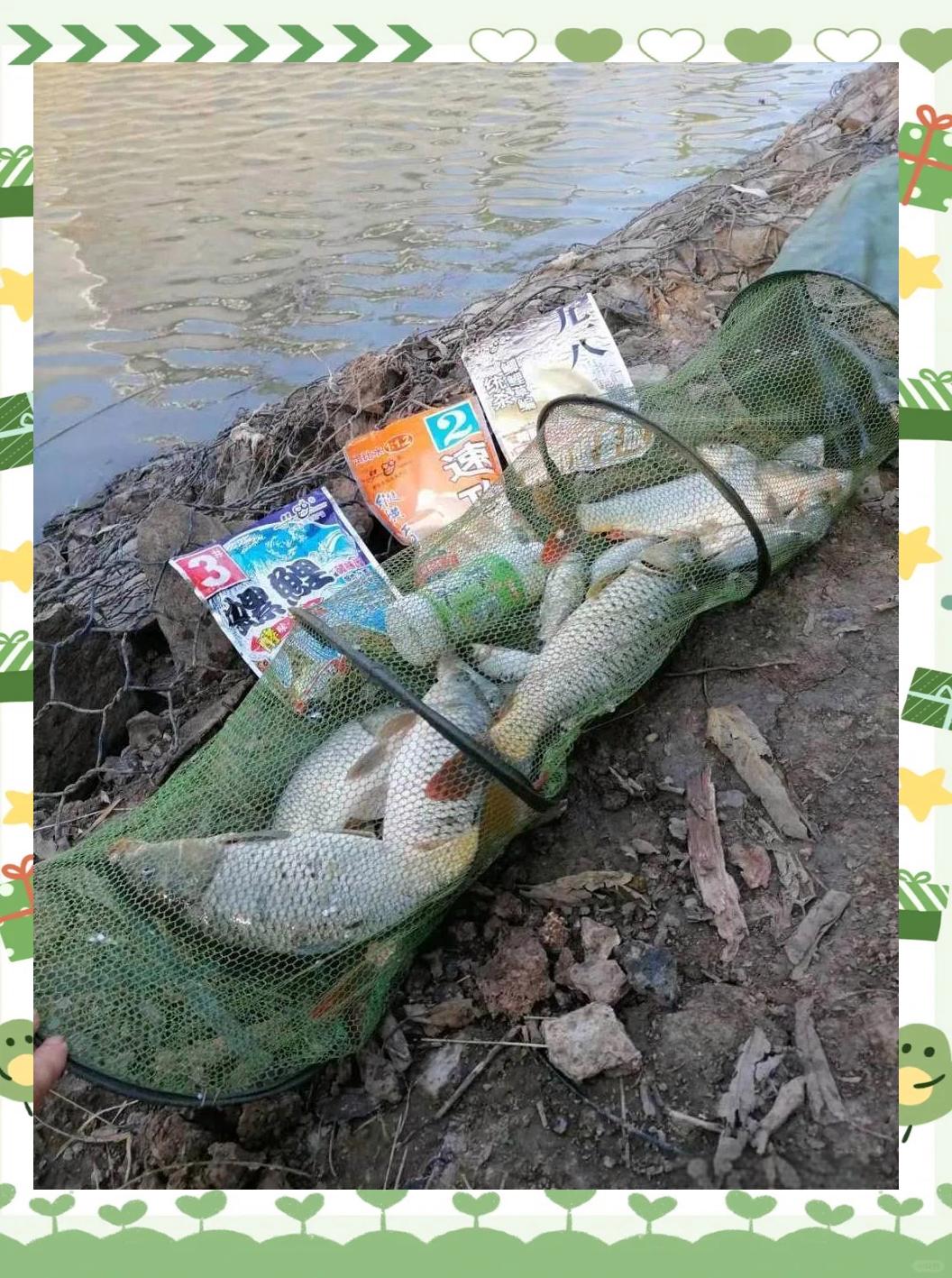 夏天水库钓鲤鱼的技巧(夏天水库钓鱼用什么饵料)