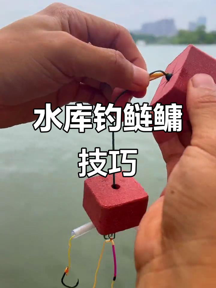 水库野钓技巧视频(水库钓鱼视频野钓实战) 水库野钓技巧视频(水库钓鱼视频野钓实战)
