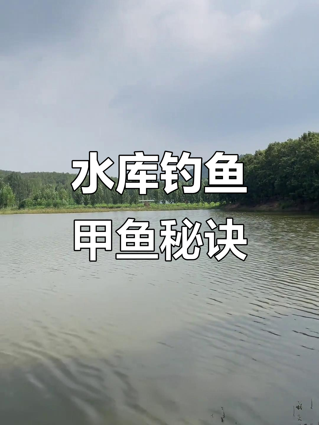 水库野钓技巧视频(水库钓鱼视频野钓实战) 水库野钓技巧视频(水库钓鱼视频野钓实战)