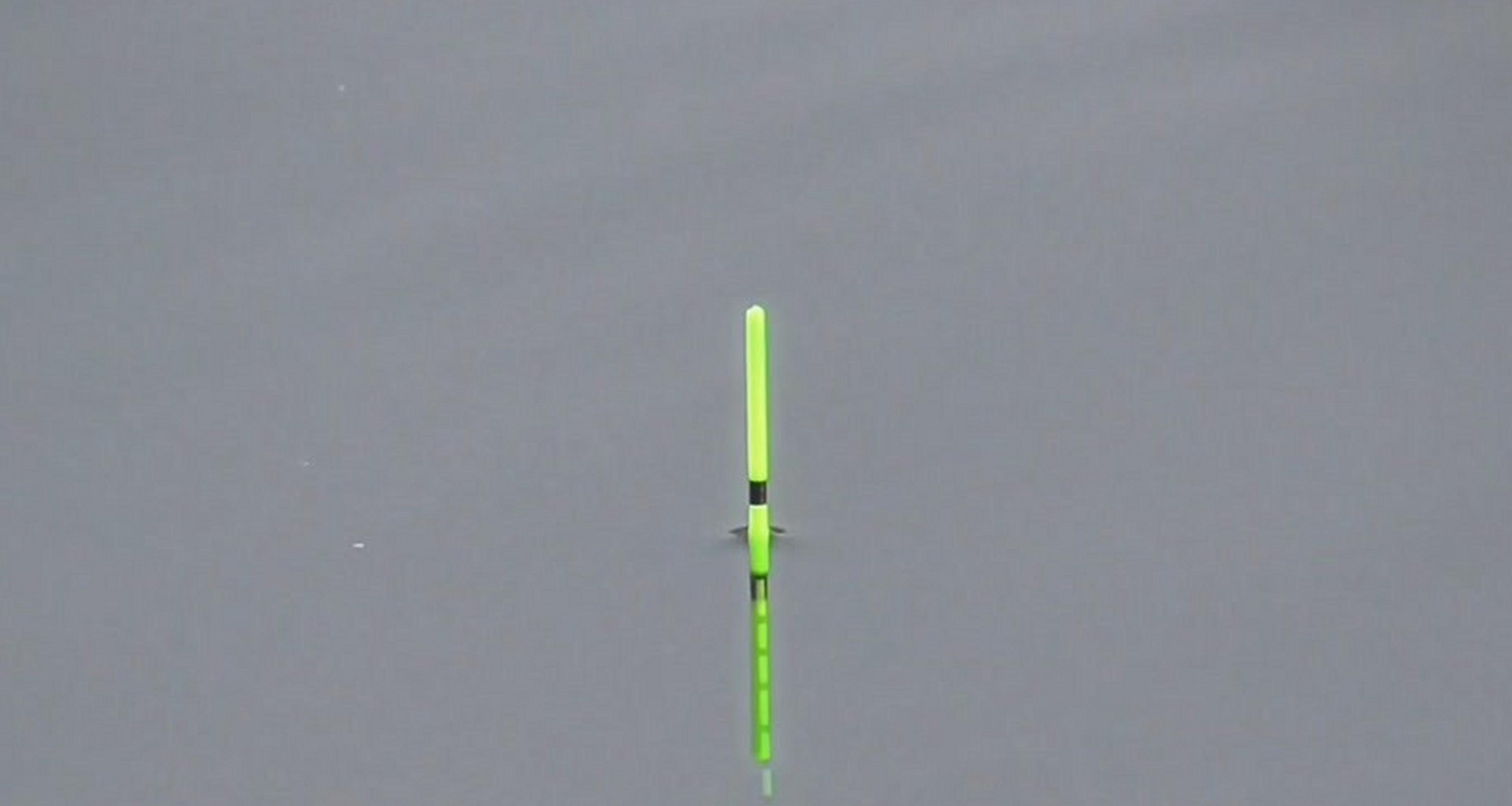 黑坑春钓鲤鱼技巧(黑坑春天钓鲤鱼的技巧)