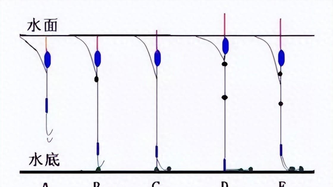 钓鱼鲤鱼的技巧(钓鲤鱼教程)