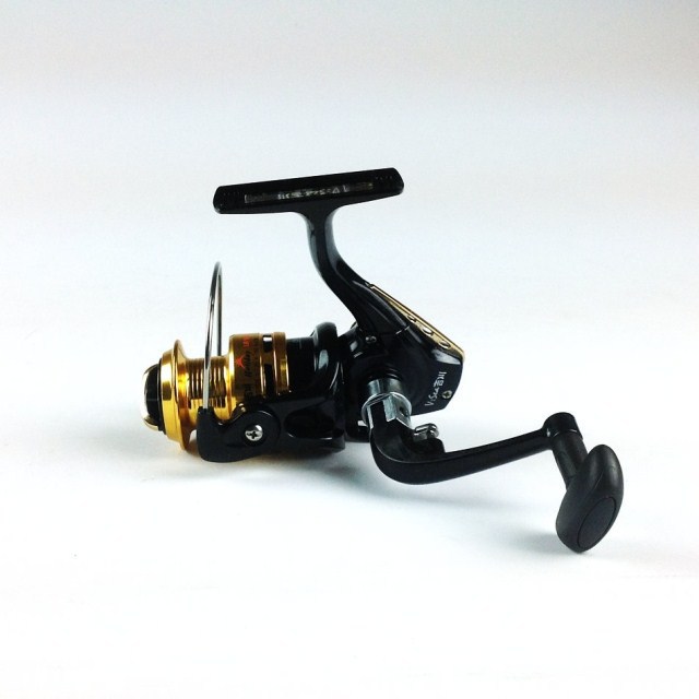 辉煌渔具(辉煌鱼缸官网)