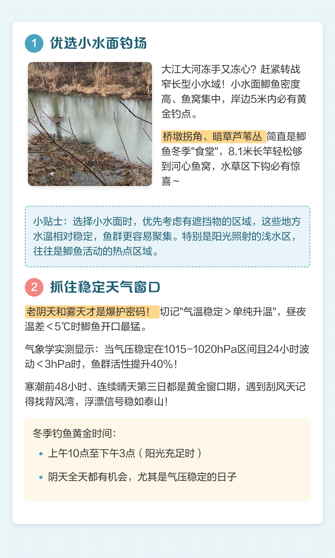 秋季钓鲫鱼技巧全攻略(秋季钓鲫鱼选择什么钓位)