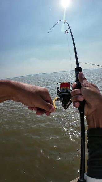 钱塘江桥上钓鱼技巧(钱塘江钓点在哪里)