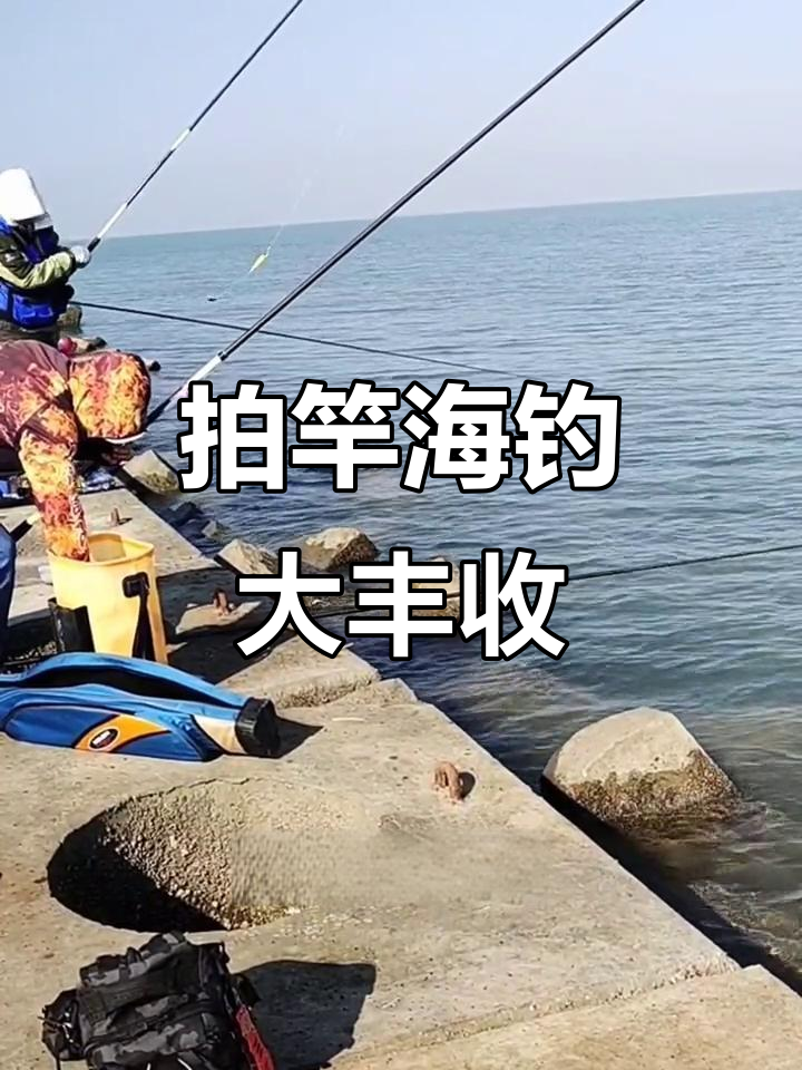 海钓杆钓梭鱼教程(钓海梭鱼技巧视频)