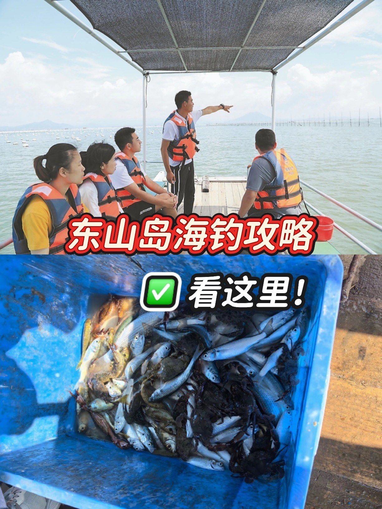 海钓这么看潮(海钓如何选择潮水钓鱼)